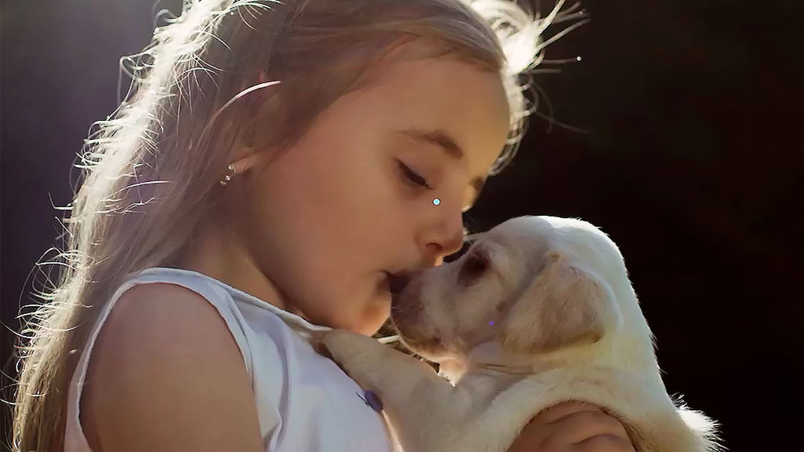 Beneficios de tener mascotas en el hogar