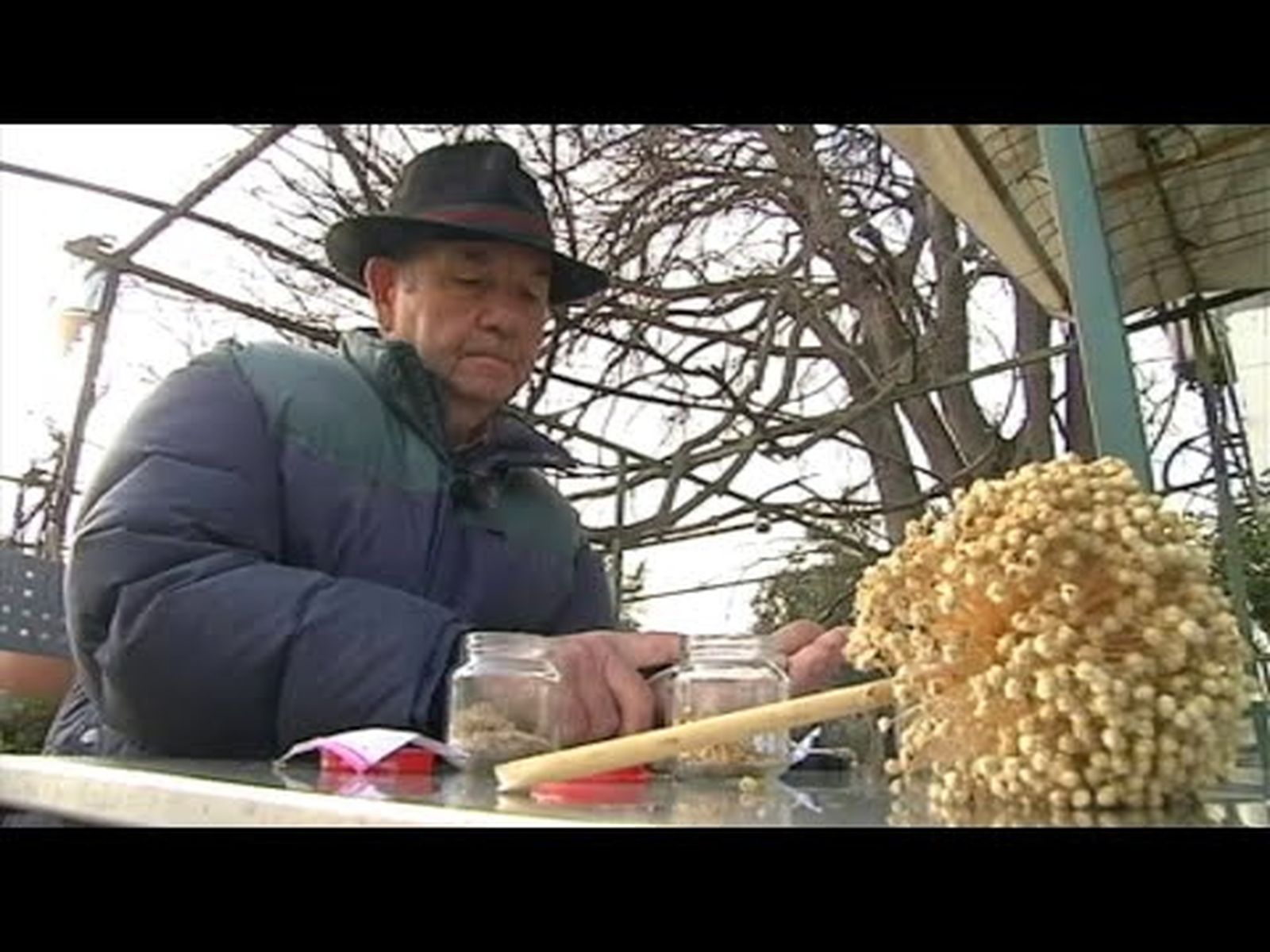 Hortelano sabio de Córdoba: las semillas son el oro del país | Comételo