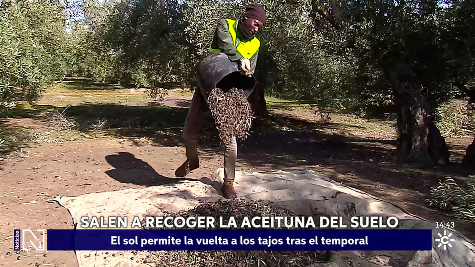 Sale el sol y se llenan los tajos