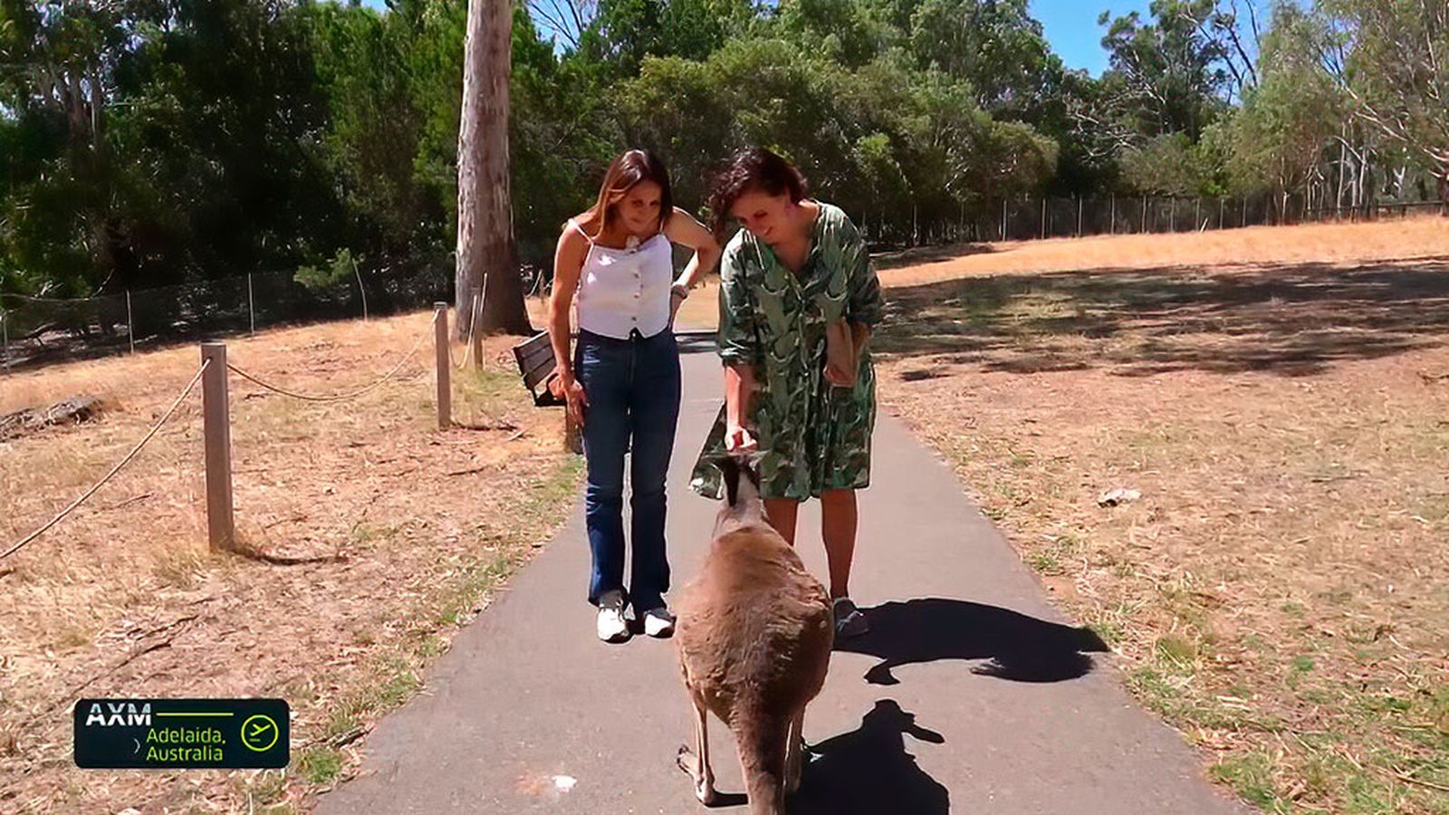 La malagueña Macarena Bermúdez nos lleva a ver canguros en Cleland Park