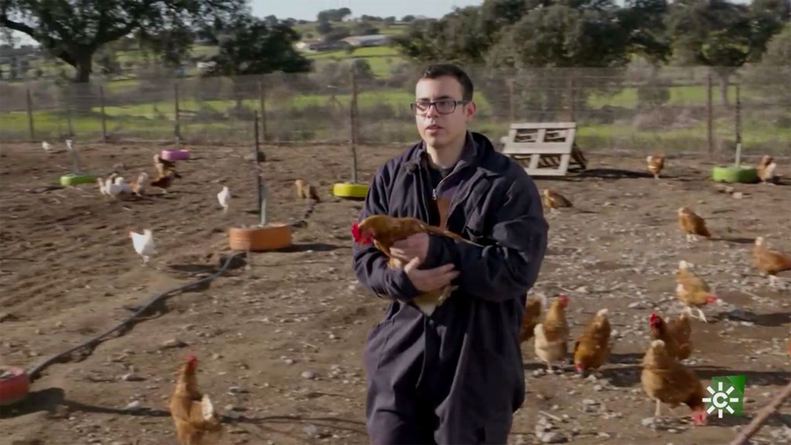 Youssef Francisco Bouighejd, avicultor: 'Todos los días aprendo algo nuevo de mis gallinas'