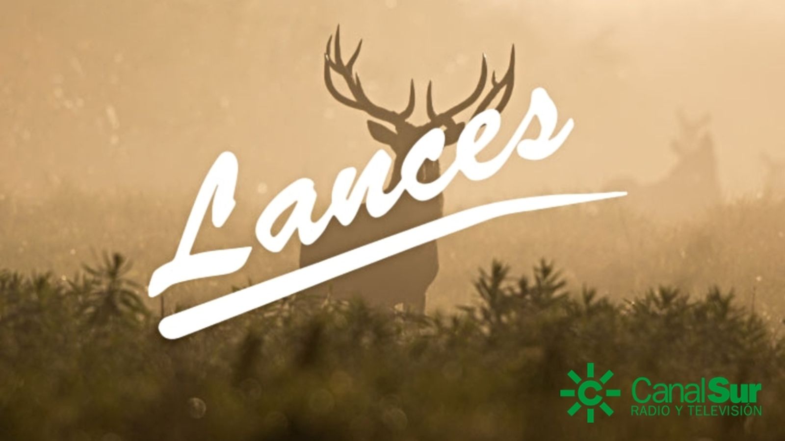17_premios_lances