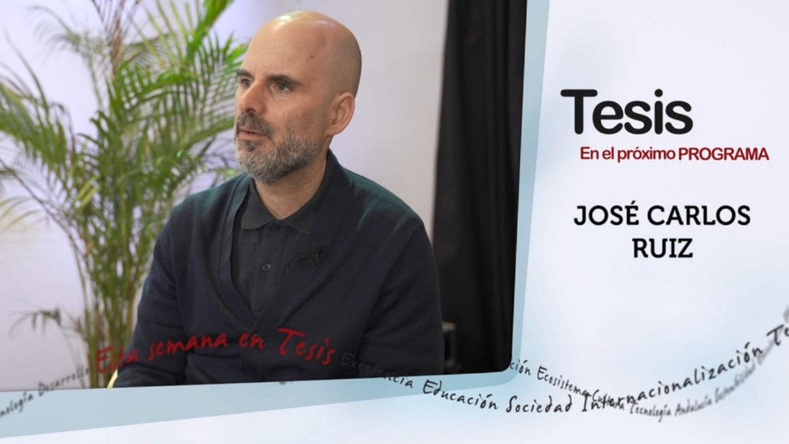 Tesis Canal Sur