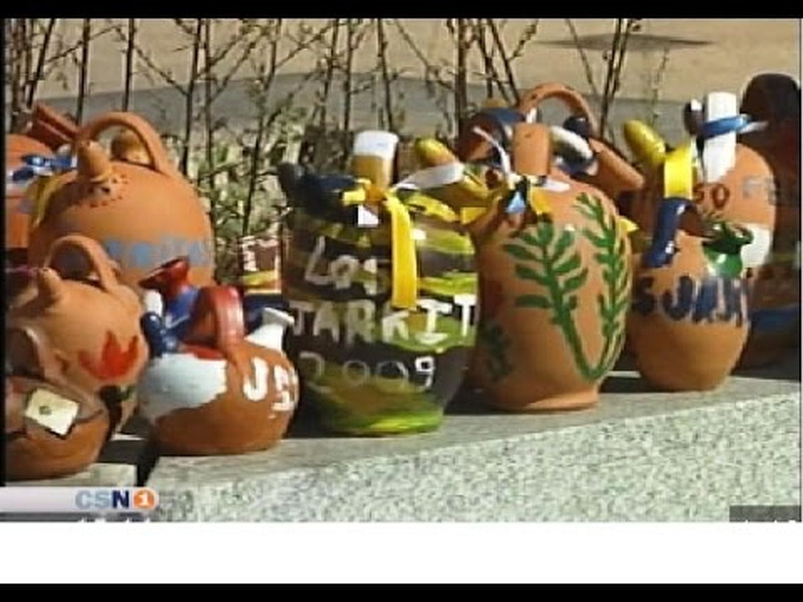 Fiesta de "Los Jarritos" en Galaroza, Huelva (2009)