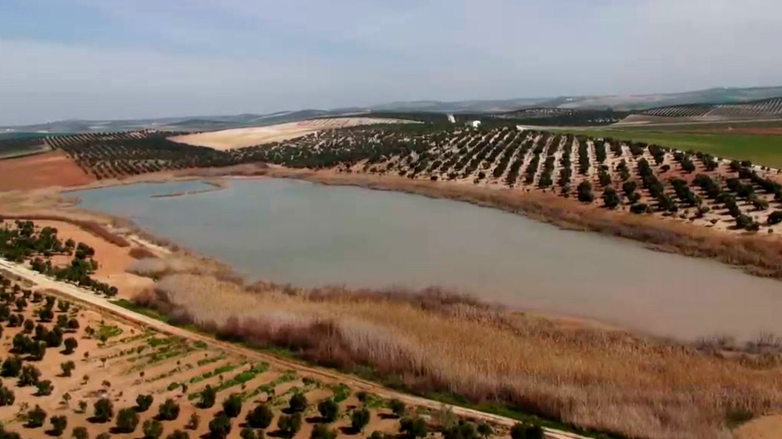 Laguna del Donadío, uno de los referentes ornitológicos de la provincia de Córdoba