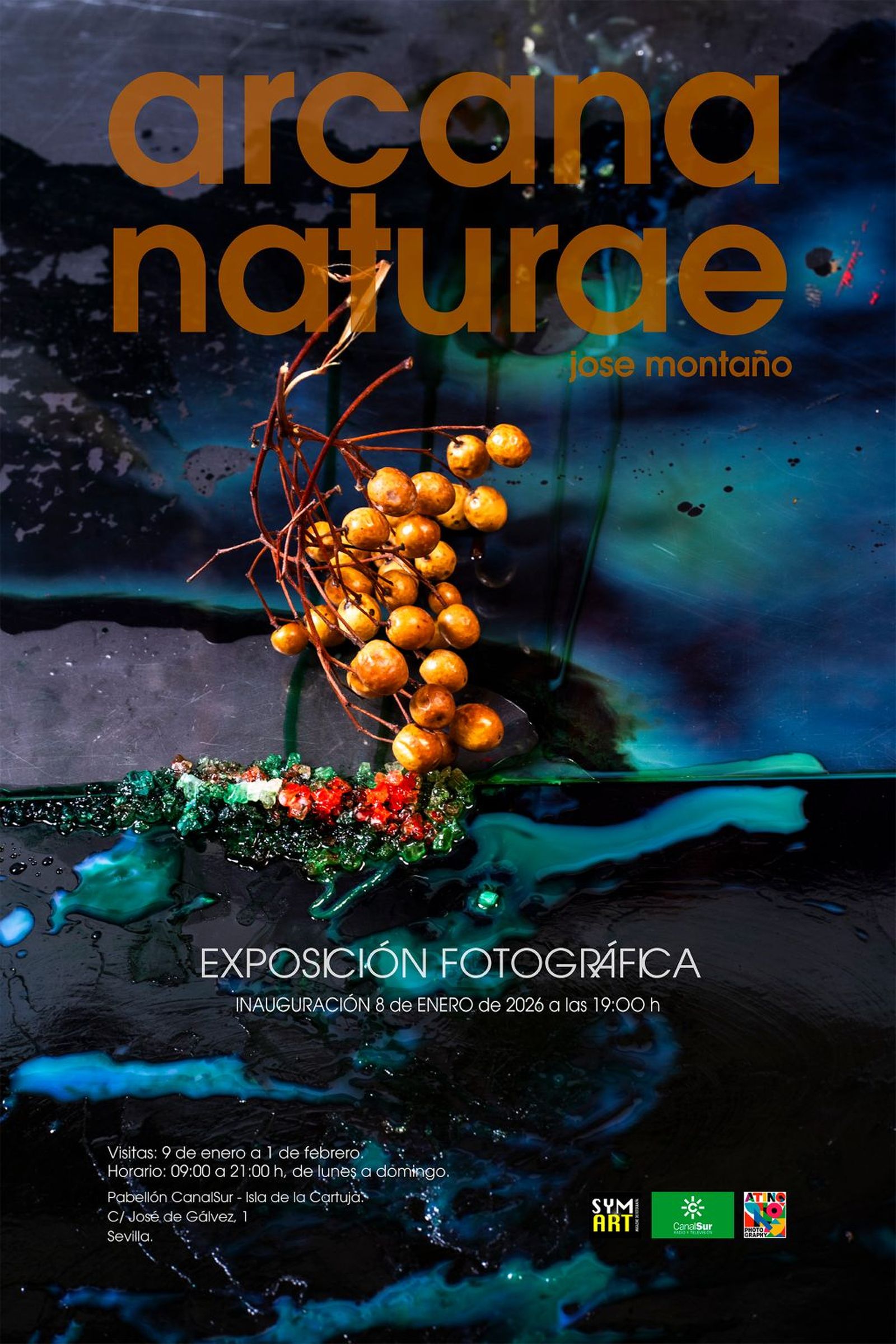 exposicion canal sur