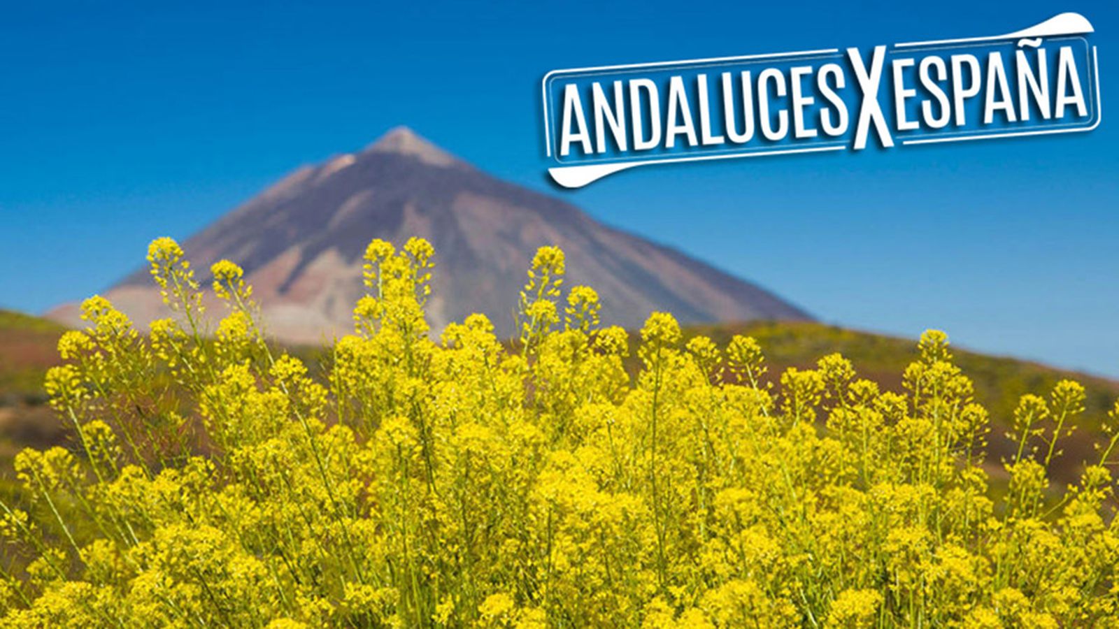 Andalucex x España, Tenerife, 24 junio