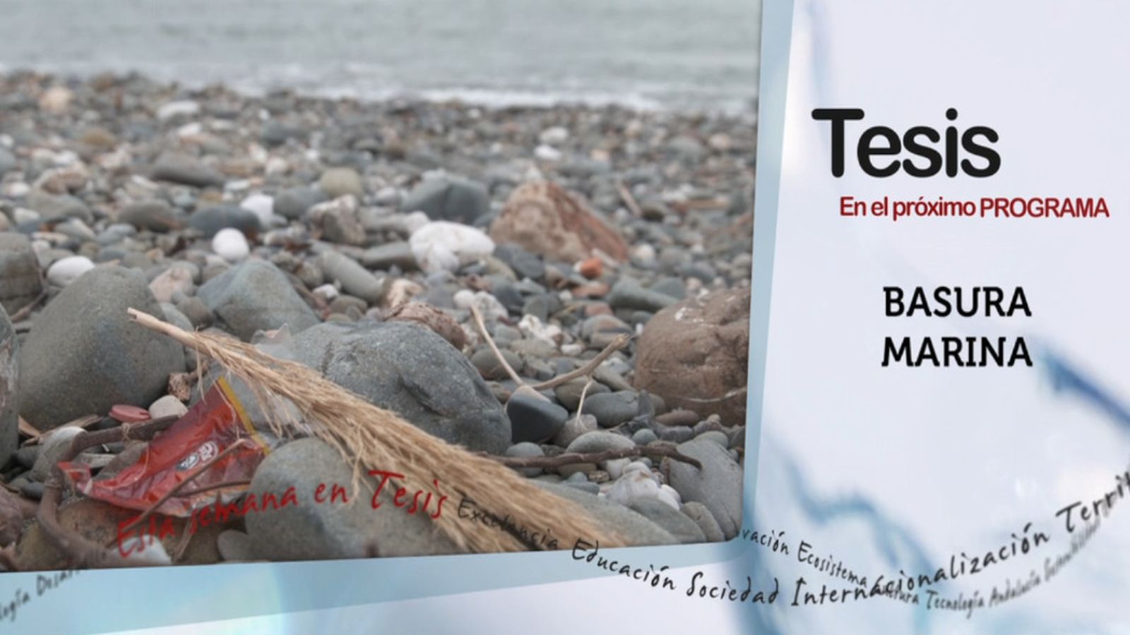 tesis canal sur