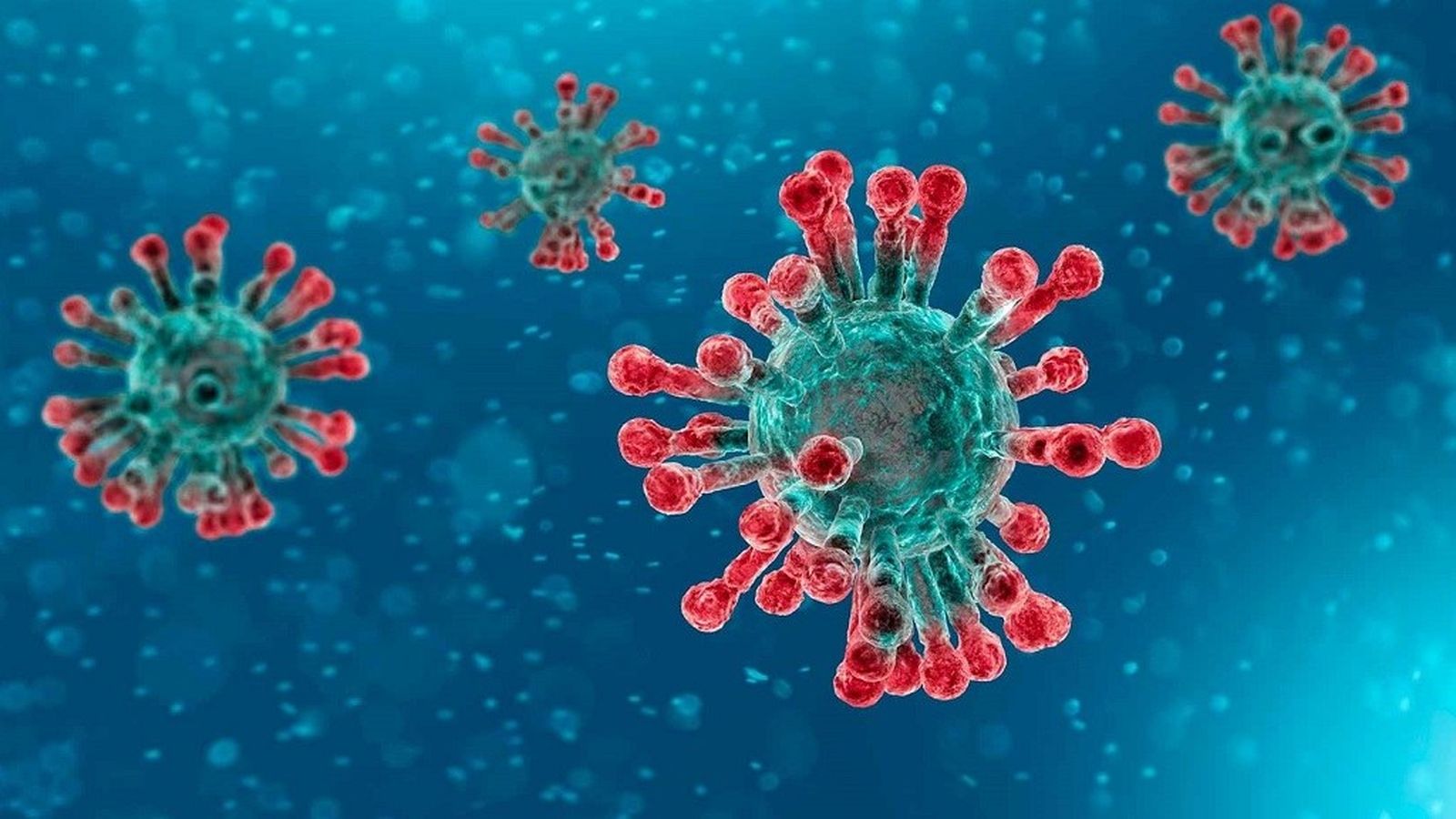 IMAGEN CSR EP CORONAVIRUS
