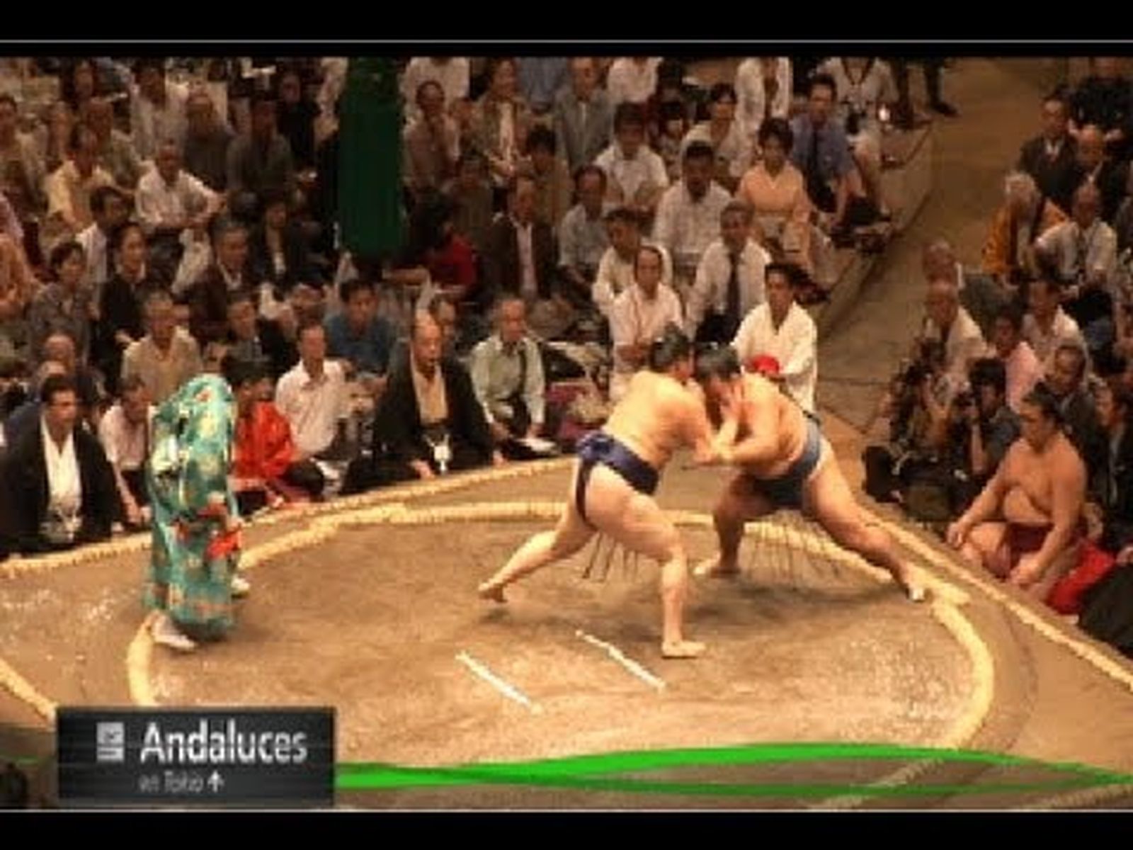 Aikido y sumo en compañía de un andaluz residente en Japón [日本]