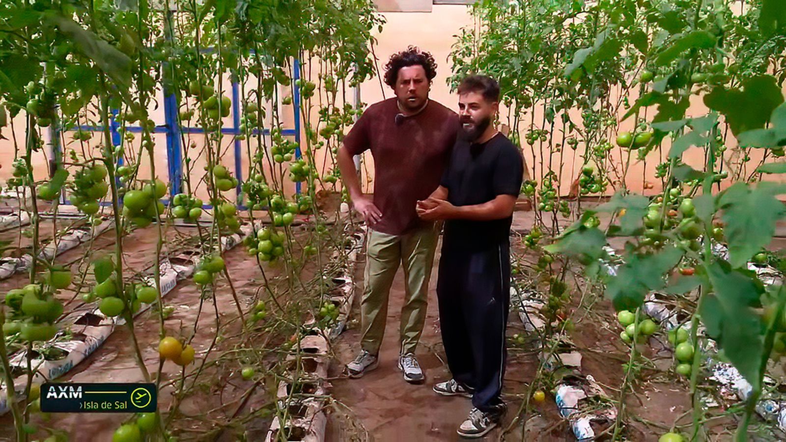 Marc Quesada nos enseña cómo plantar tomates en las áridas tierras de Isla de Sal