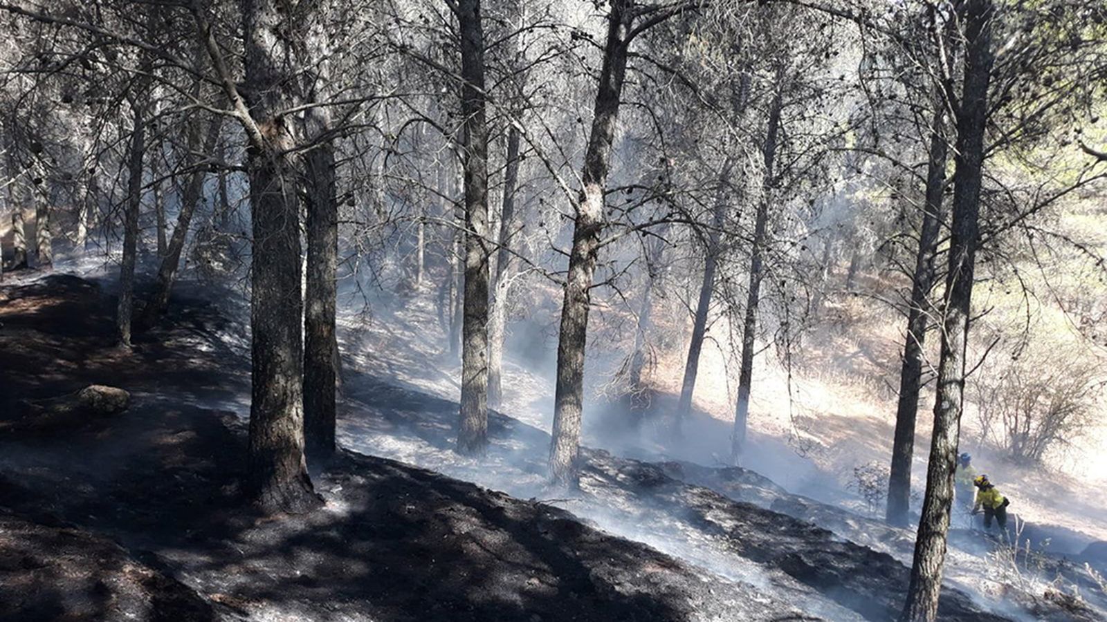 Incendio monte quemado Romeral Antequera 1024