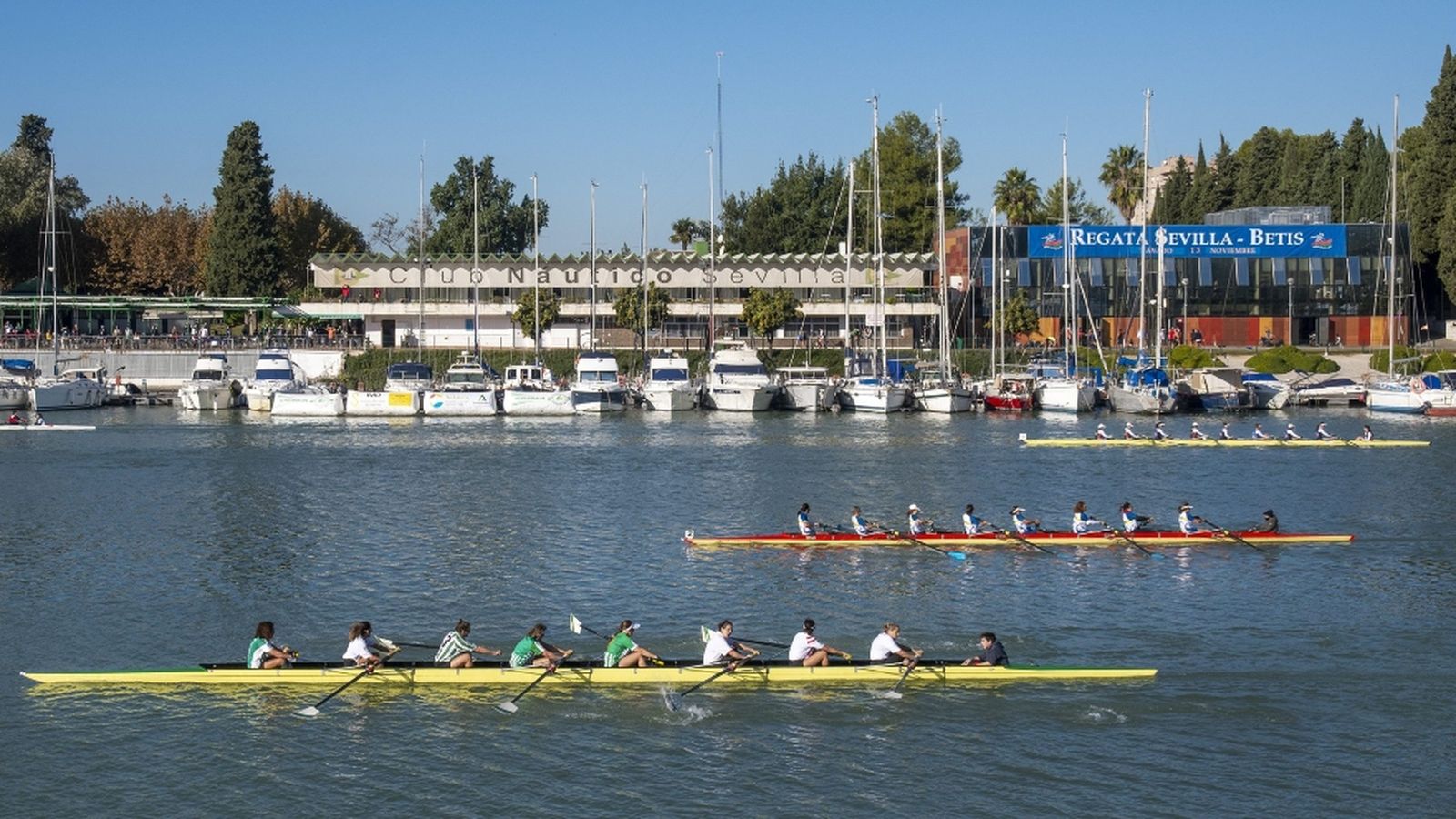 Regata Sevilla Betis 12/11/22