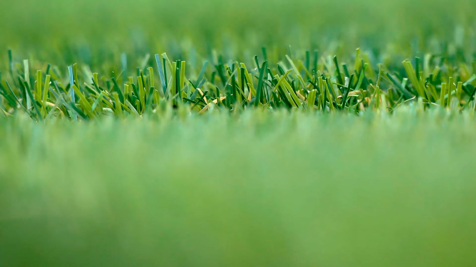 El boom del plástico verde