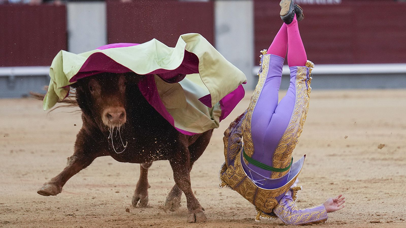 Cogida de Morante en su corrida de despedida en Las Ventas