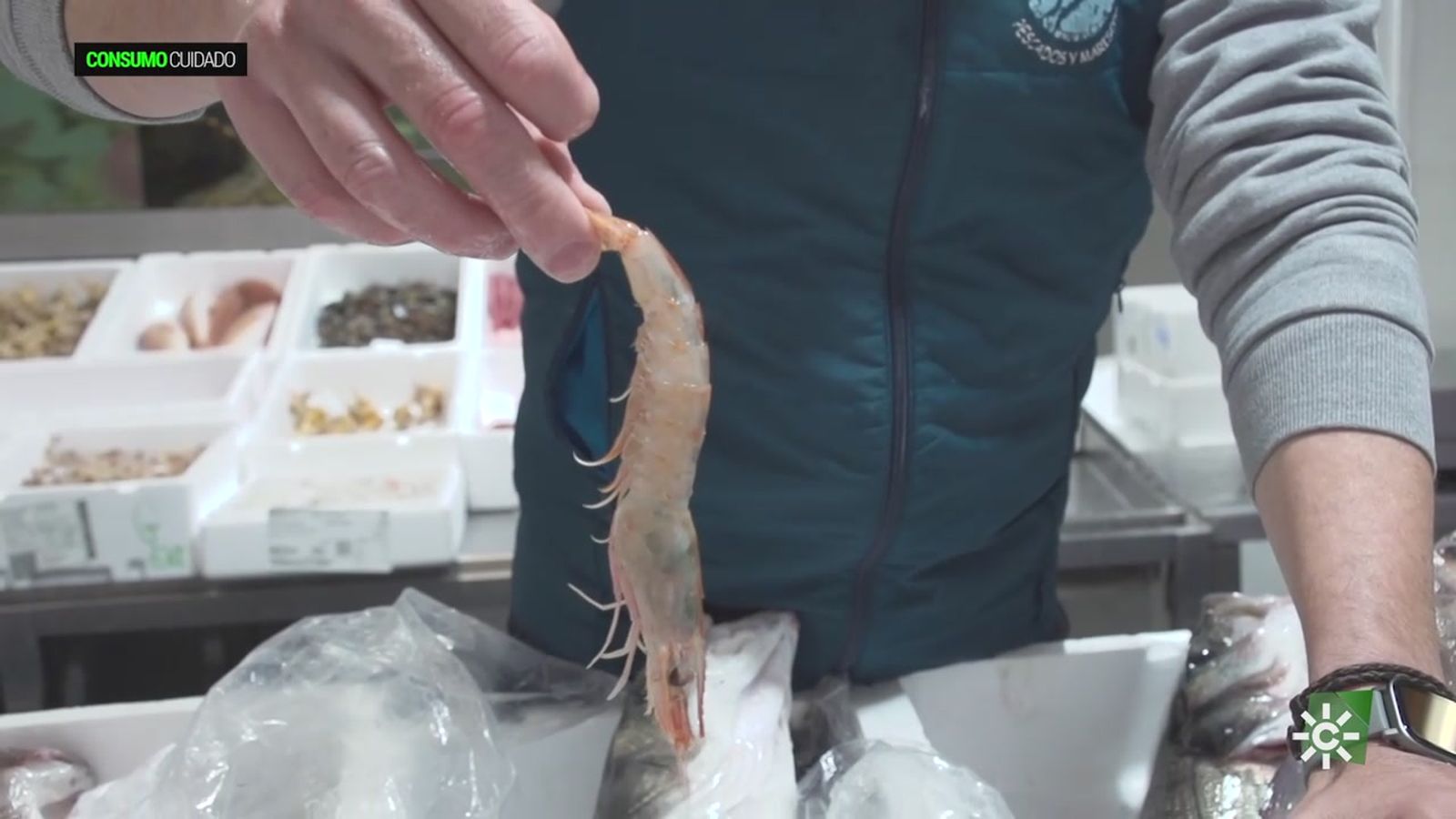 Trucos para elegir un buen pescado para las comidas navideñas y al mejor precio