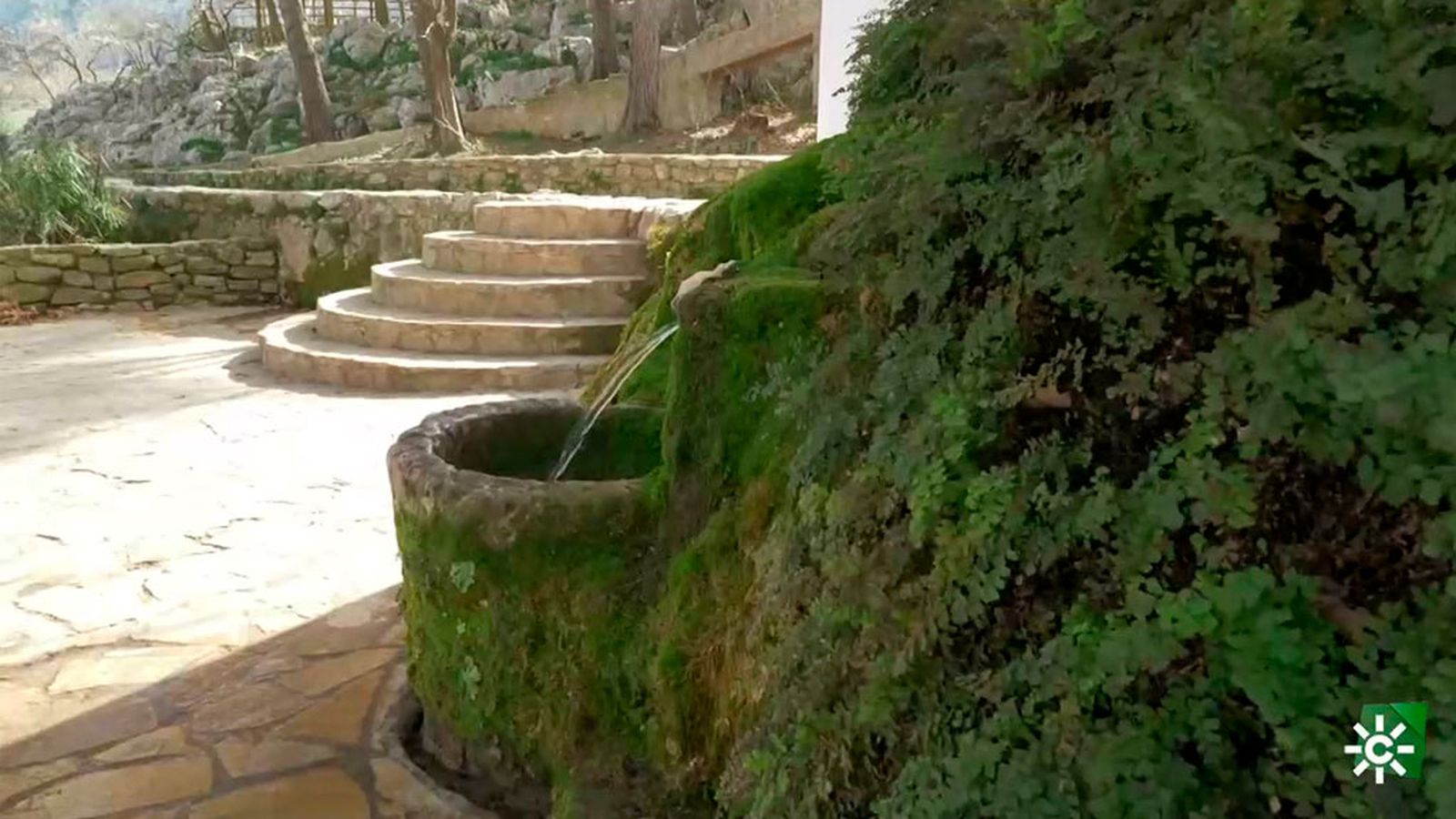 Cuevas del Becerro, el municipio de origen mozárabe de la comarca del Guadalteba