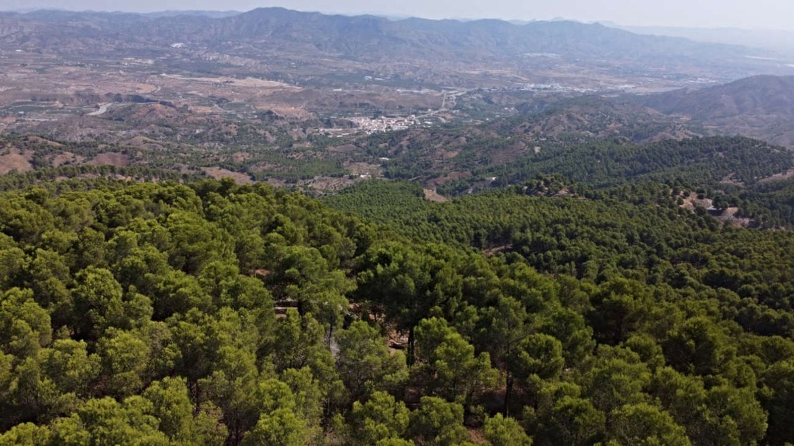 15 marzo sierra filabres