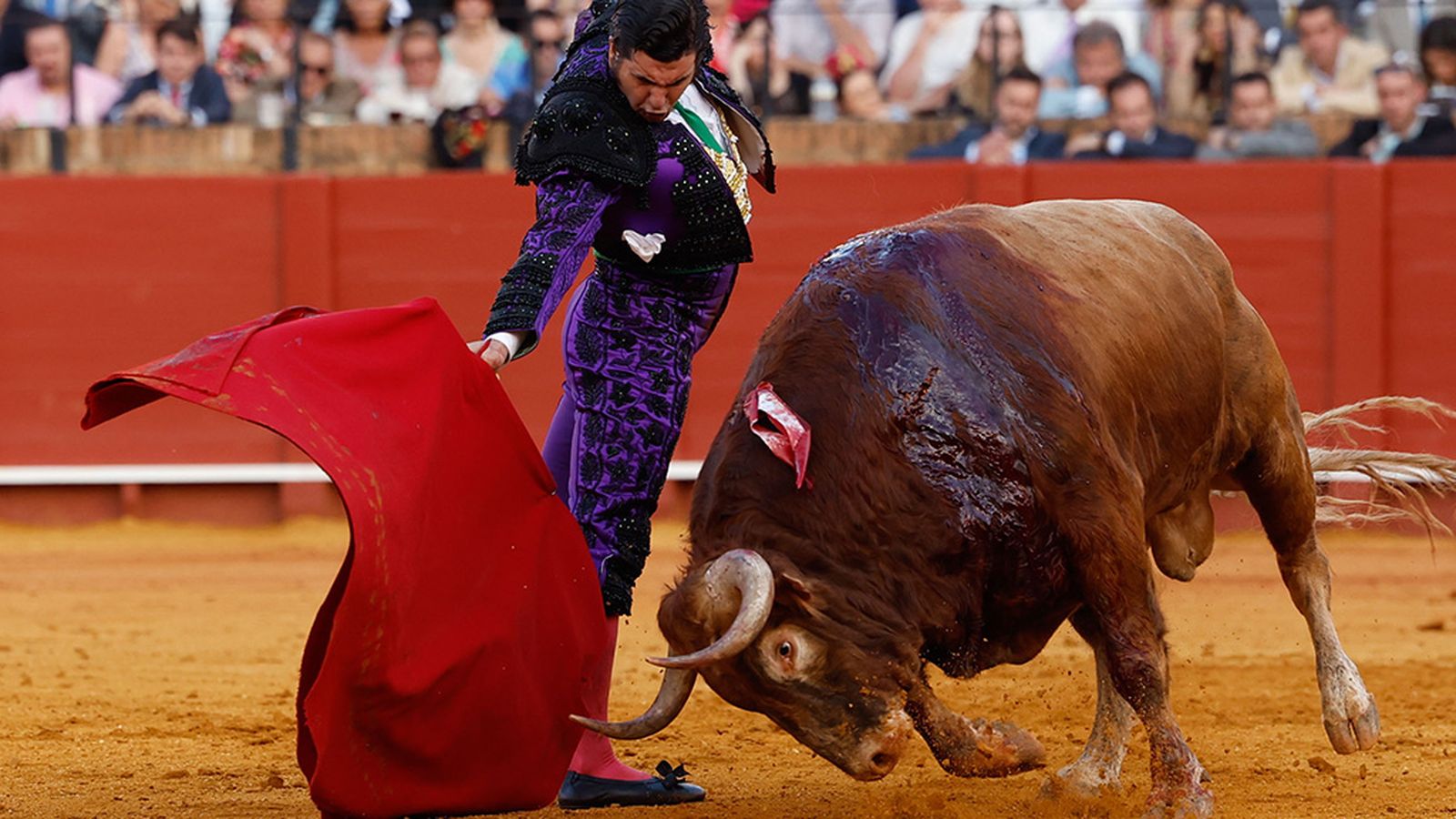 Morante se reencuentra en la feria de la Maestranza