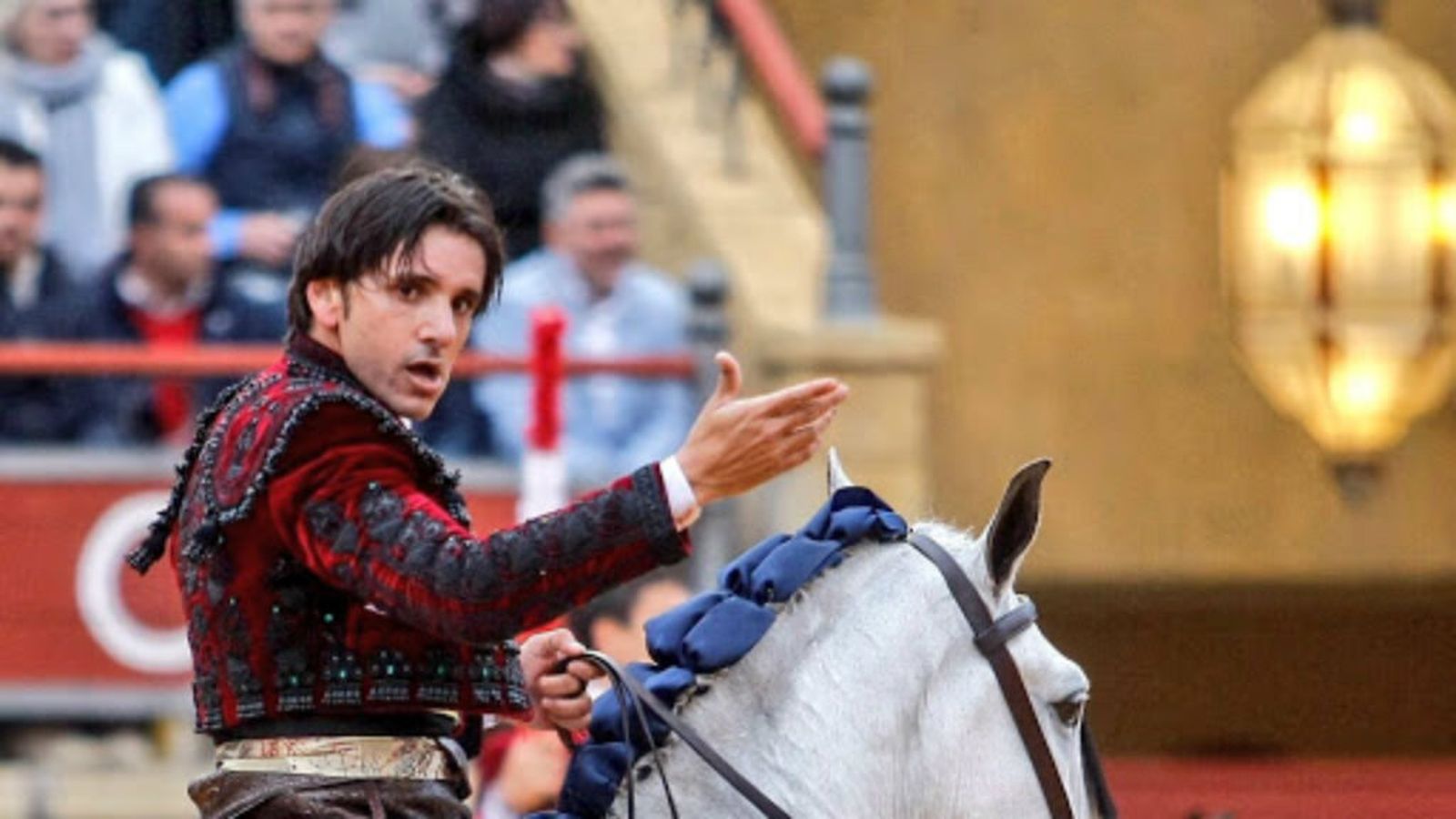 toros