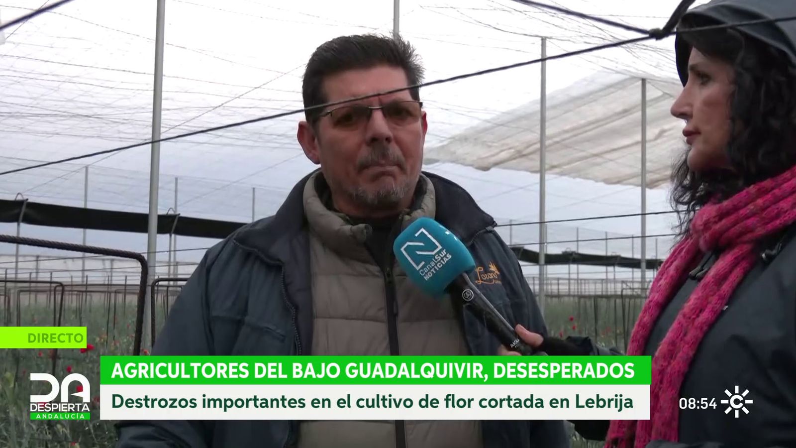 José Cruz, agricultor de flor cortada de Lebrija