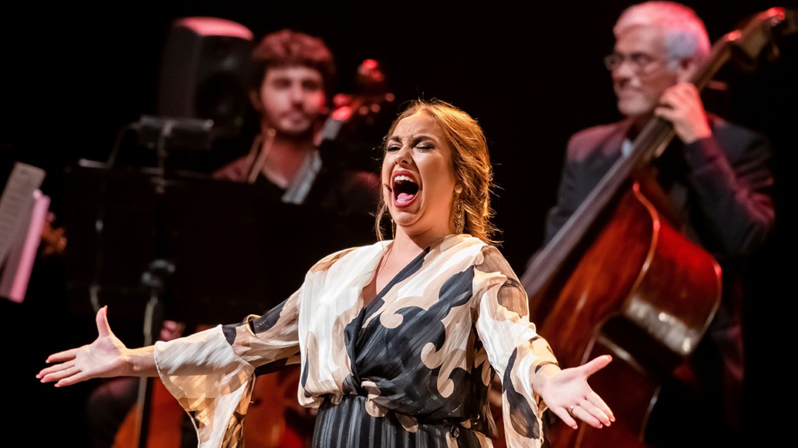 foto flamenco 2