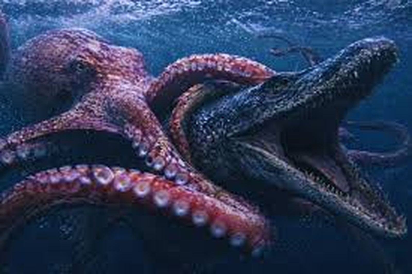 kraken