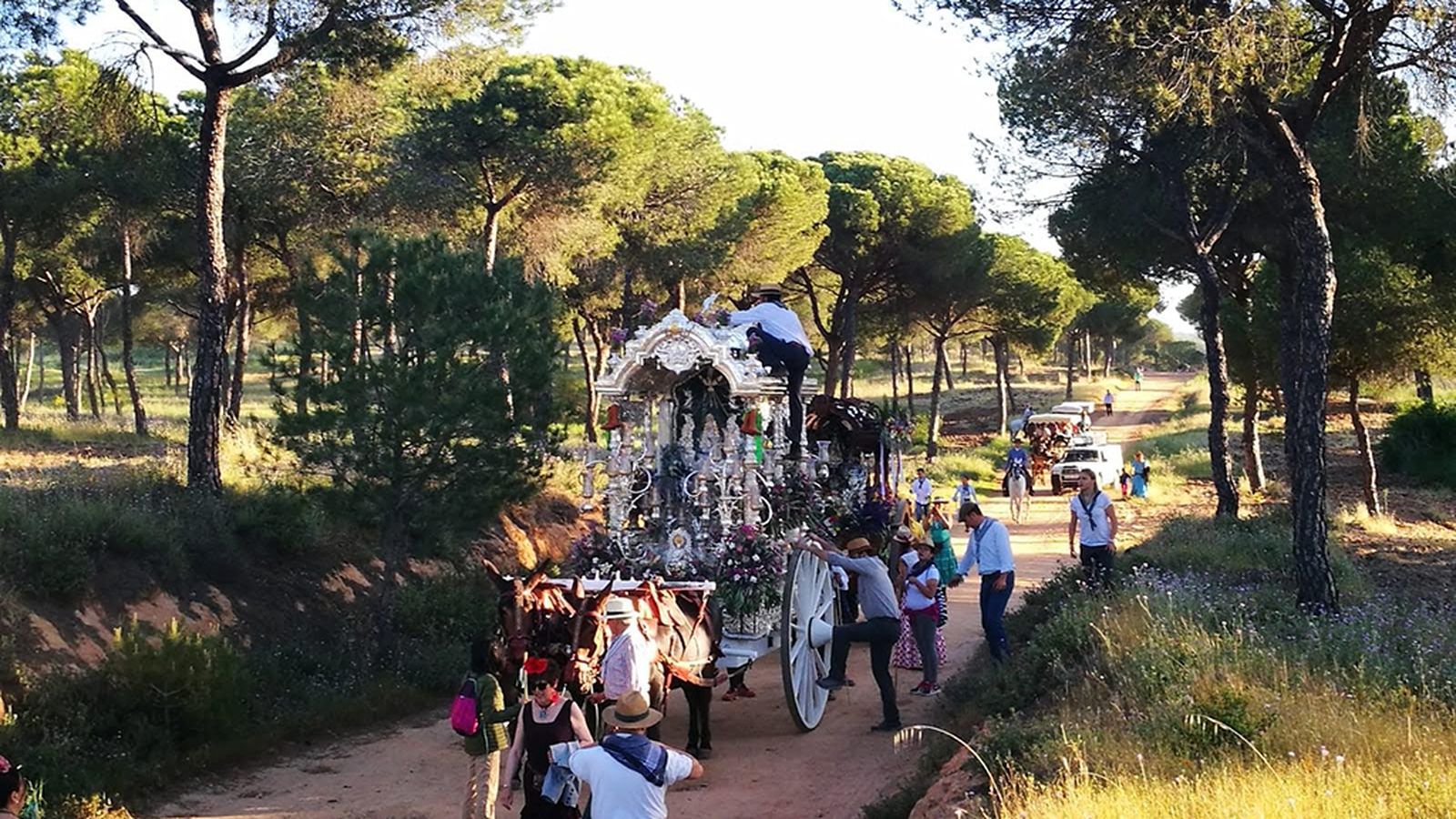 Camino Rocío 1024