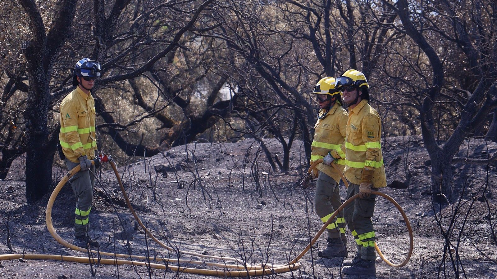 La importancia de la prevención para evitar los incendios