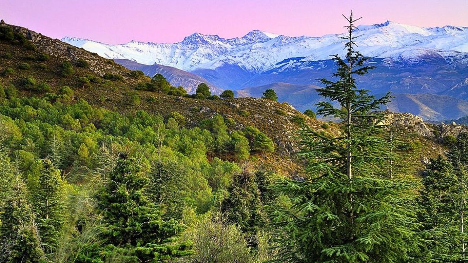 Andalucía es naturaleza 21 marzo