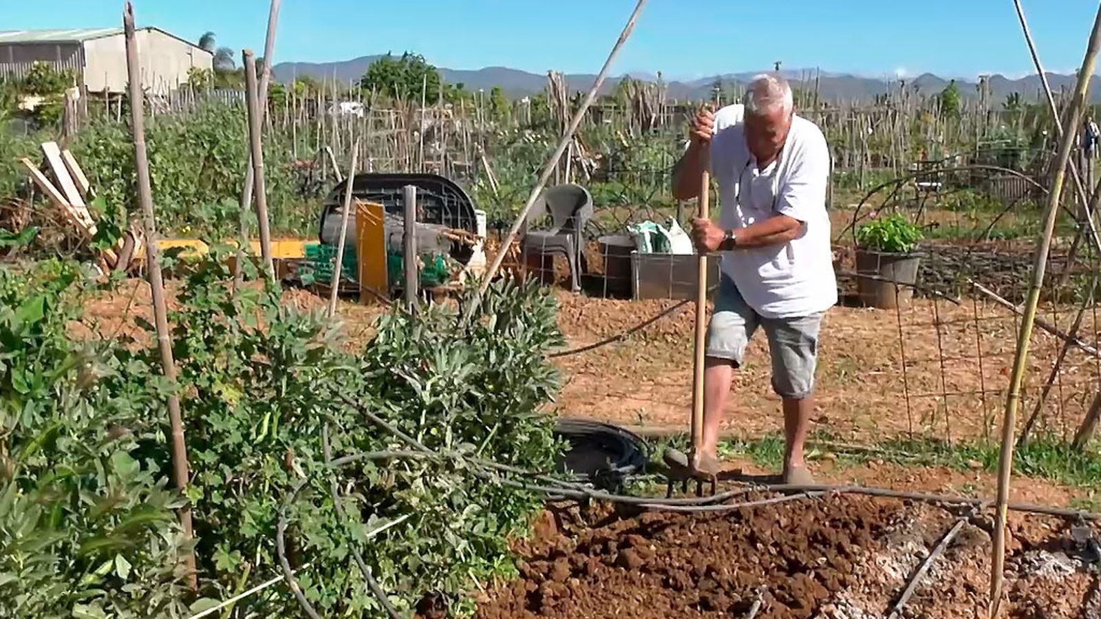 Desconectar de la ciudad en los huertos urbanos de Campanillas, Málaga