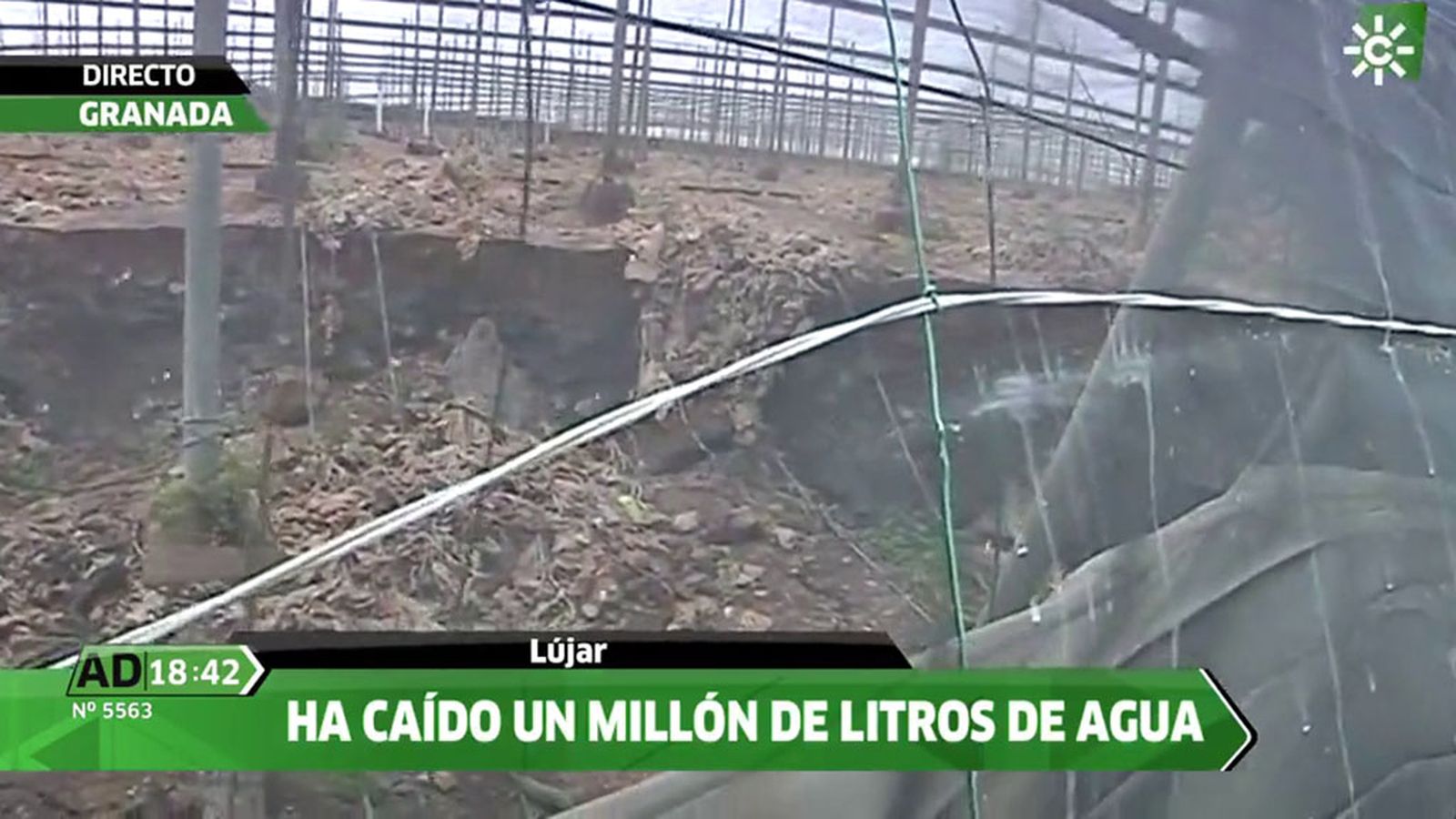 FOTO LUJAR AD