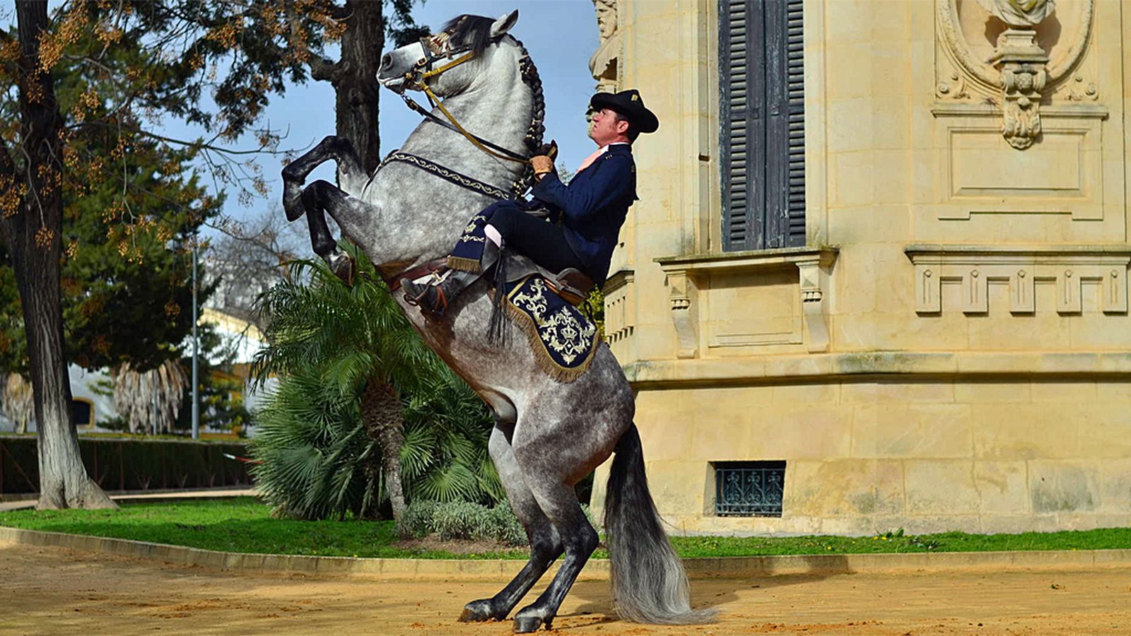 CÓMO BAILAN LOS CABALLOS ANDALUCES