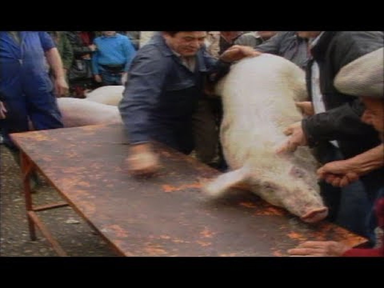 La matanza del cerdo en Pampaneira (1993)