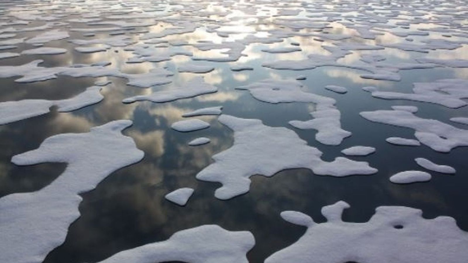 cambio climático