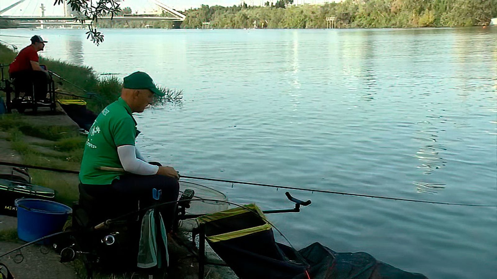 Pescamos carpas y lisas en Sevilla, en el tramo de río conocido como La Barqueta