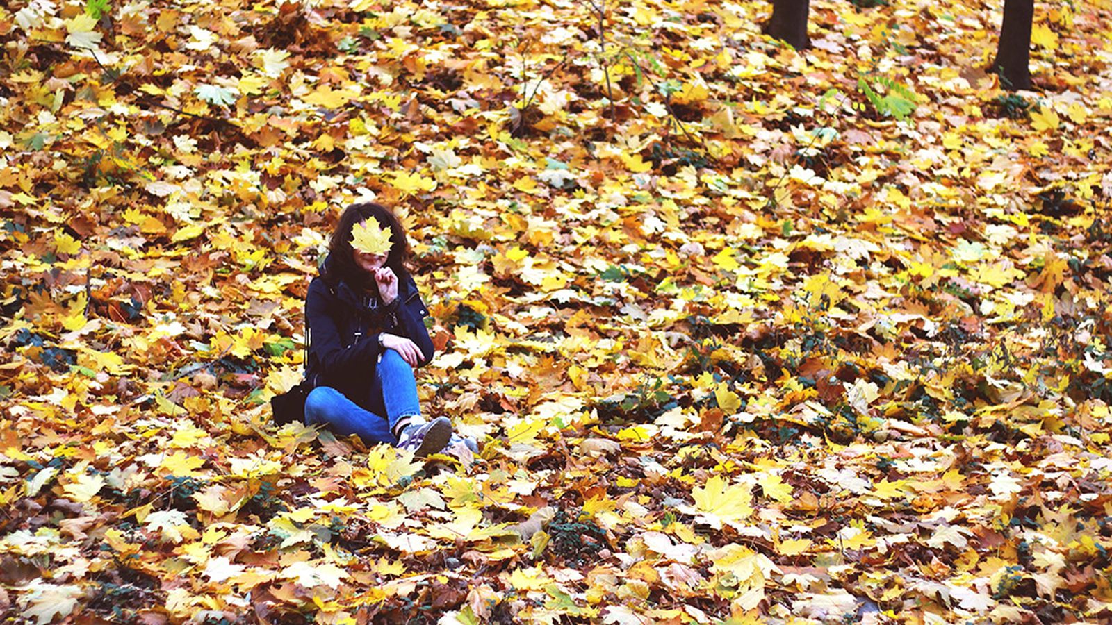 Canal Fiesta Radio Moda otoño Hoy no salimos de fiesta