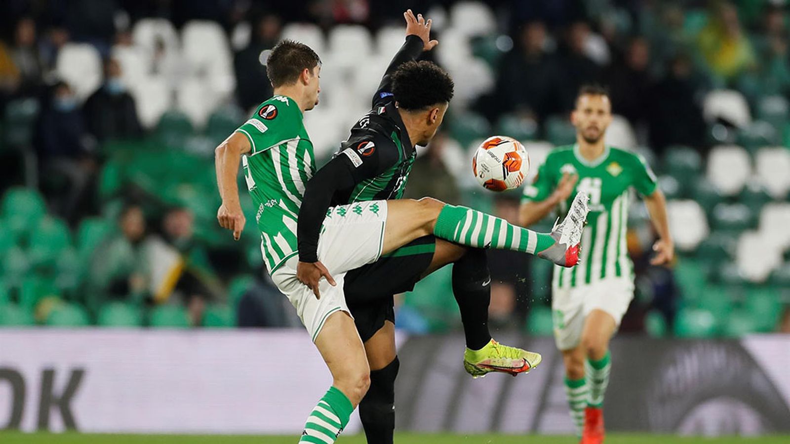 tapa betis