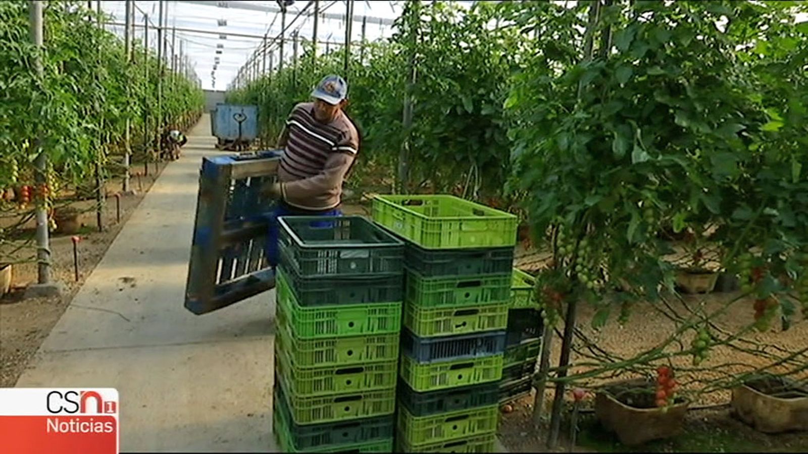 campaña agricultura Almeria N1