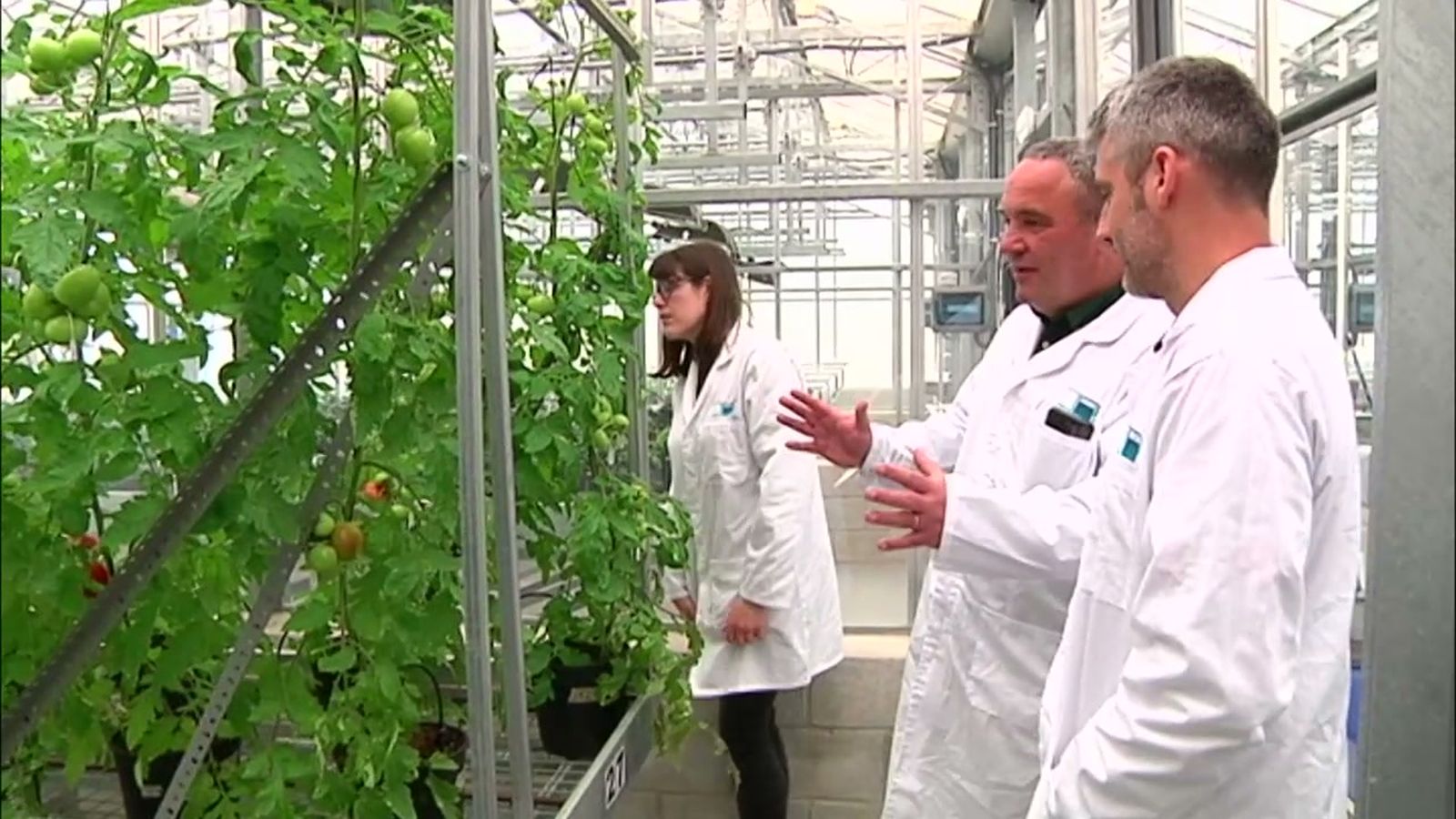 Una investigación de bioestimulación vegetal puede revolucionar la agricultura