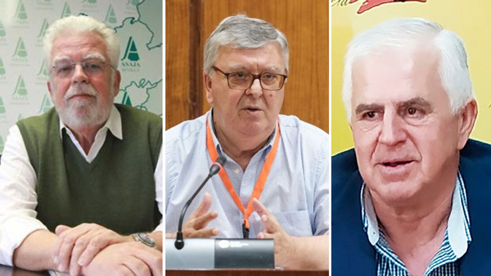 Comunicación Despierta Andalucía