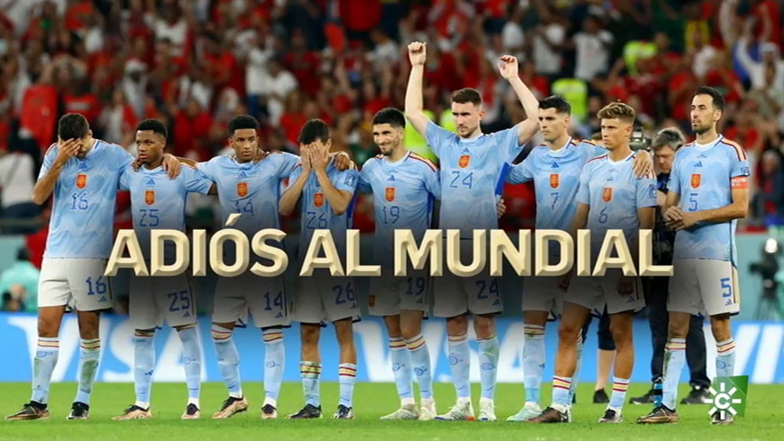 Adiós al Mundial