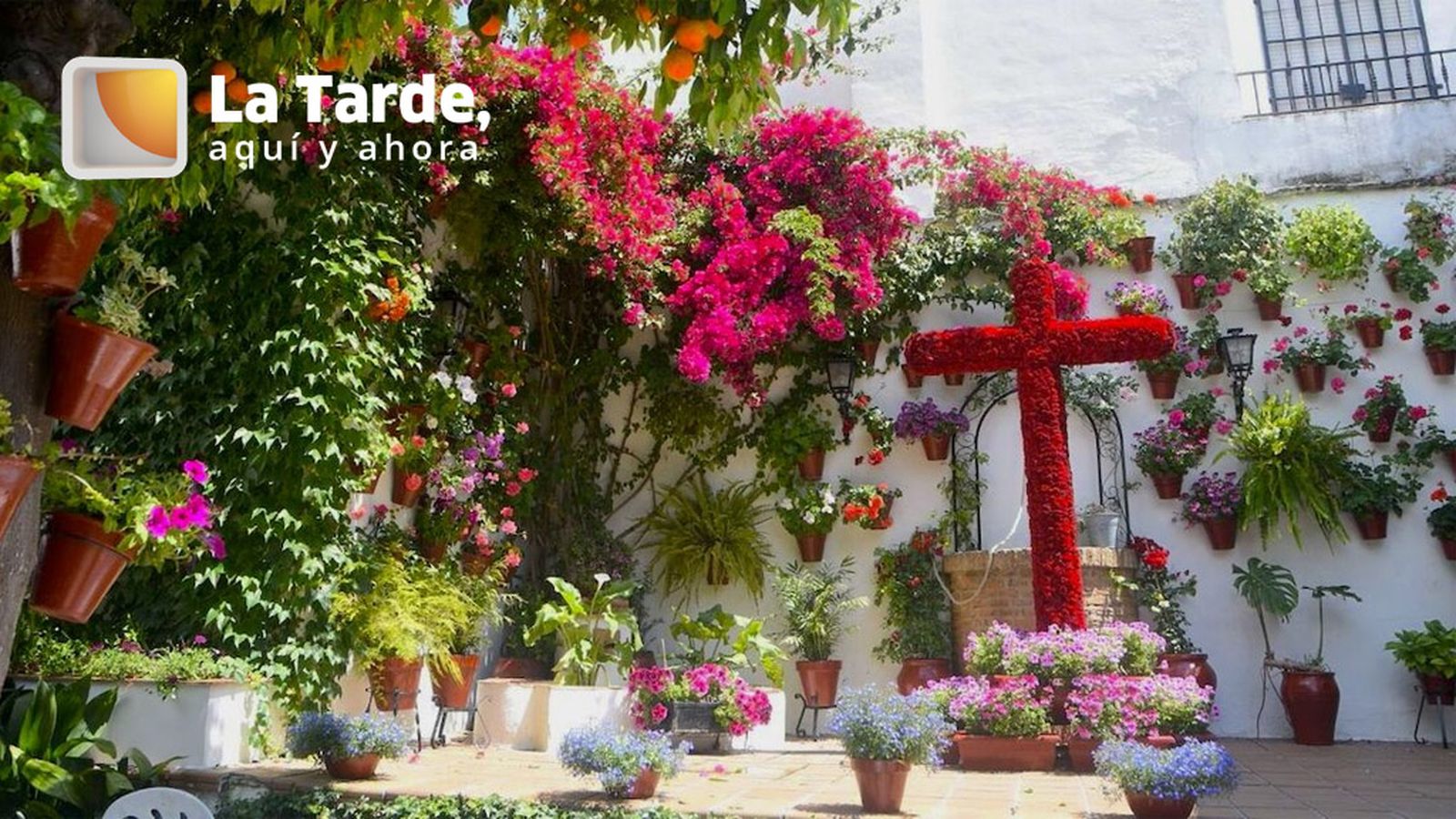 La tarde aqui y ahora PROMO Cruces de mayo