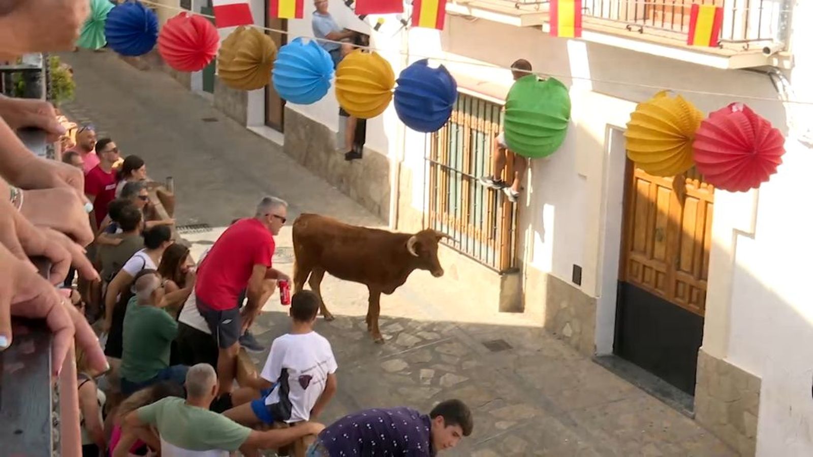 La suelta de vaquillas protagoniza la feria de Zahara de la Sierra