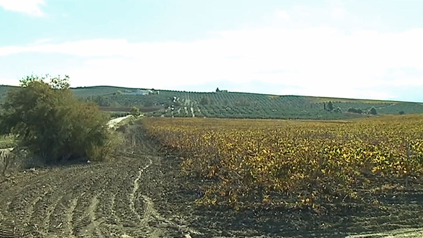 Cortijo Cabra trabajador fallecido 1024
