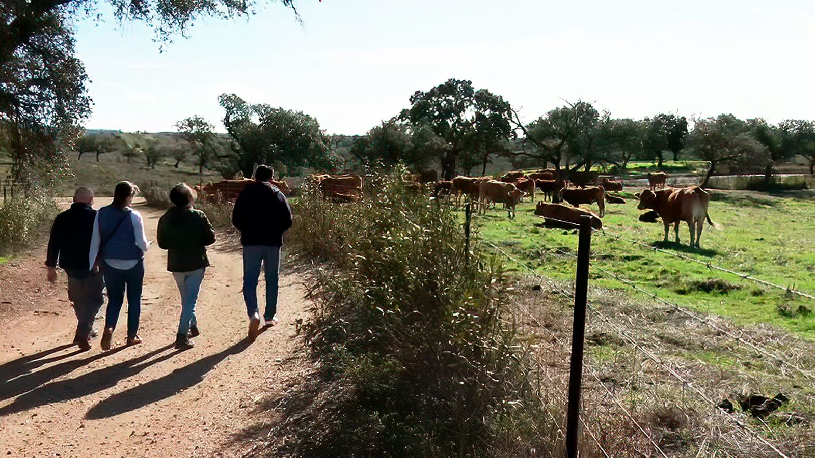 Los caminos de todos