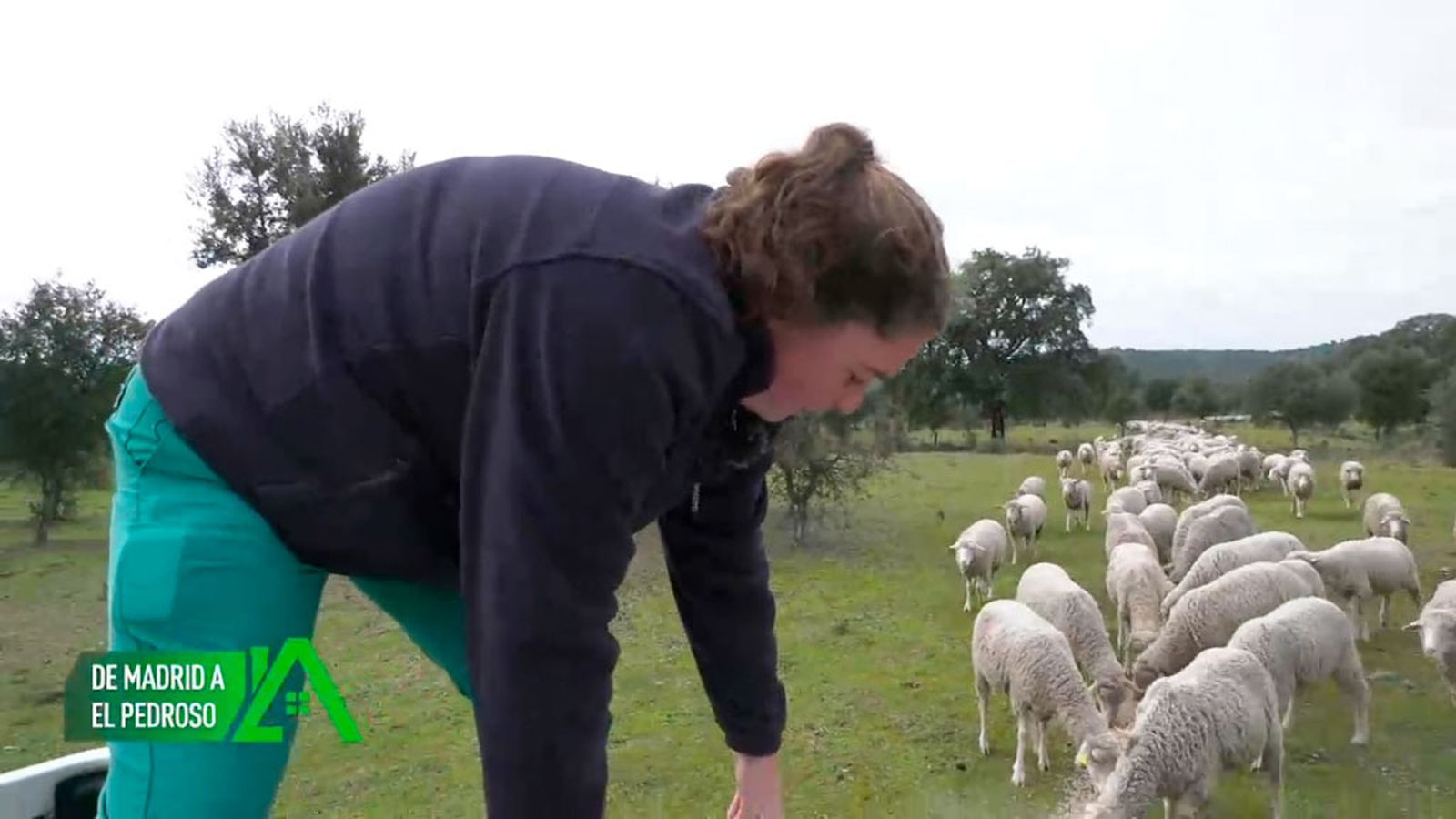 Ha regresado a su pueblo, El Pedroso donde ejerce de ganadera y veterinaria
