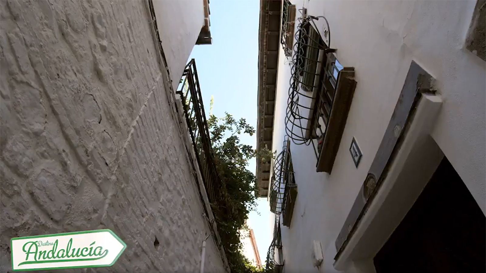 Destino, 2 noviembre (comu)