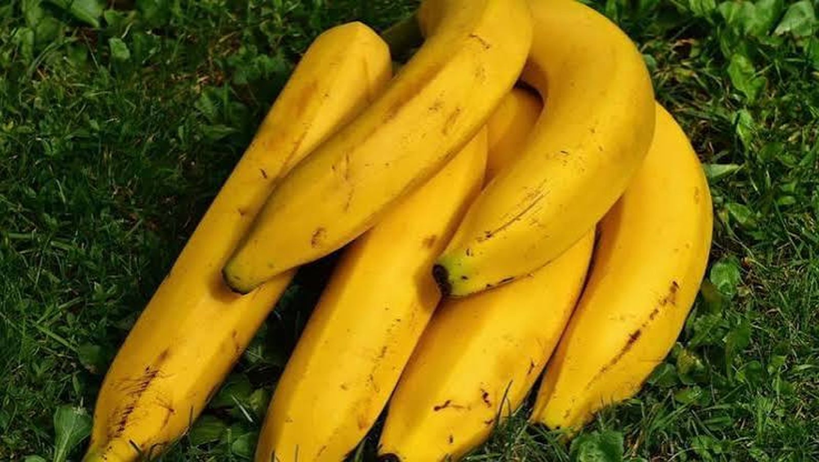 Plátano que no se oxida