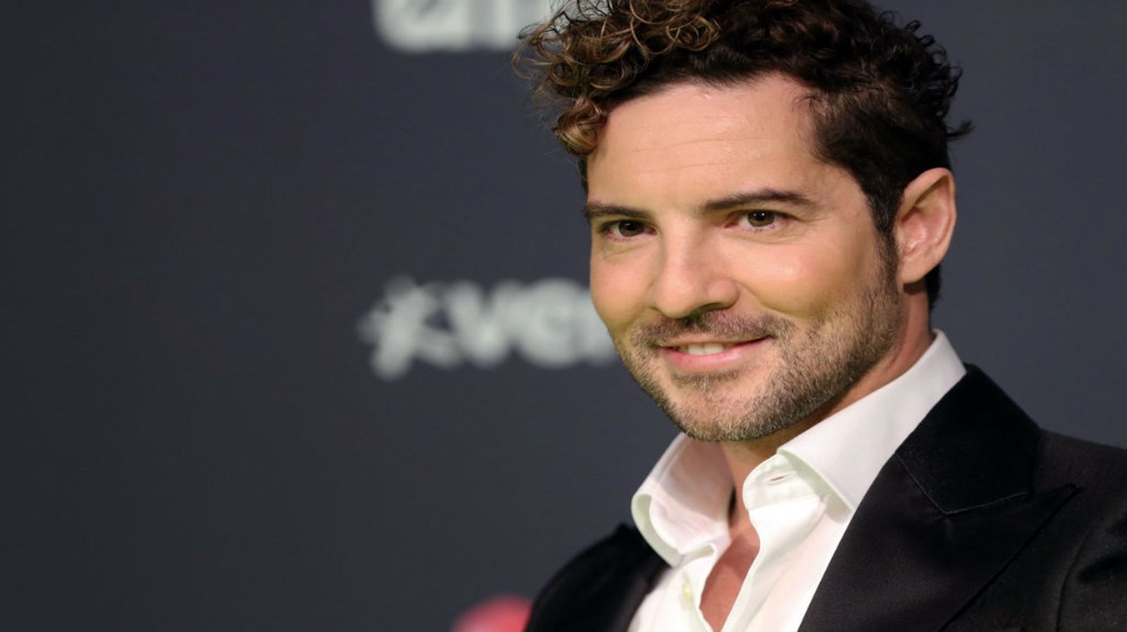 David Bisbal 1060